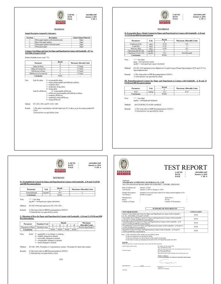 Colourful Napkins Printed Square Paper Napkins Restaurant Floral Facial Tissue Hotel Wedding Table Setting Pure Wood Pulp Paper