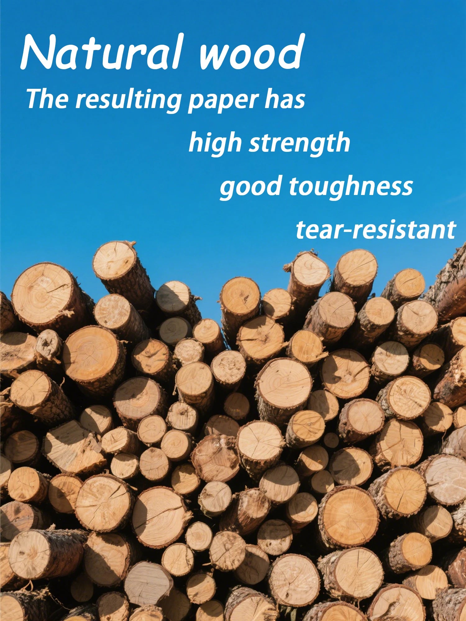 20pcs Santa Claus Holly Wreath Printed Paper Napkins - Pure Wood Pulp, 33x33cm 3-ply, Table Settings Disposable Decoupage Napkin